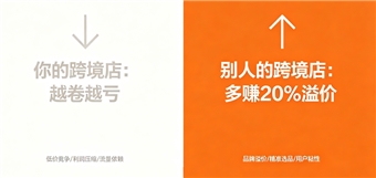 为什么你的跨境店越卷越亏？而别人都能比你多赚20%溢价？